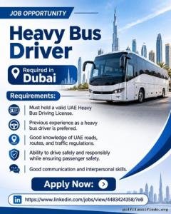 Heavy Bus Driver Required in Dubai