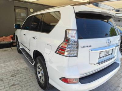 Lexus gx460 for sale