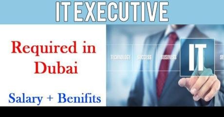 IT Executive Required in Dubai