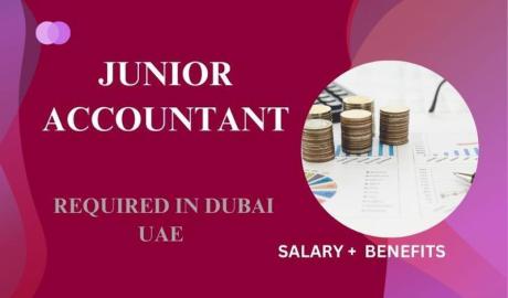 Junior Accountant Required in Dubai