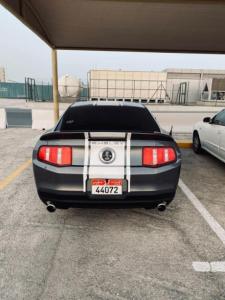Ford Mustang Sports Shelby