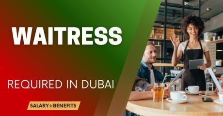 Waitress Required in Dubai