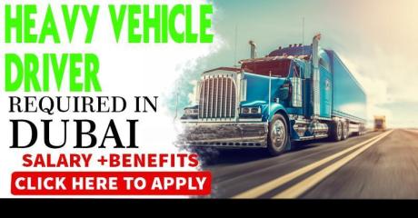 Heavy Vehicle Driver Required in Dubai