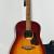 Seagull Entourage Autumn Burst Acoustic Guitar
