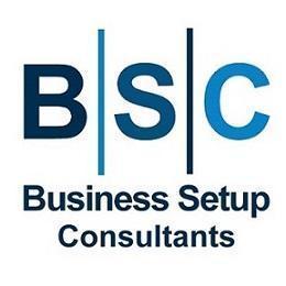 Business Setup Consultants
