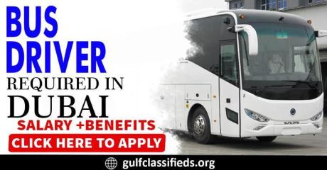 BUS DRIVER REQUIRED IN DUBAI