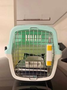 Pets litter box & cadge