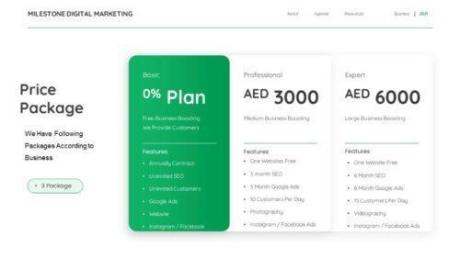 Mile Stone Online Marketing Services , Google adsence , Digital marketing with SEO