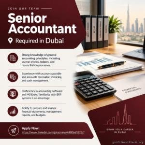 Senior Accountant Required in Dubai