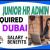 Junior HR Admin Required in Dubai