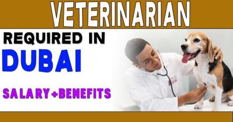 Veterinarian Required in Dubai