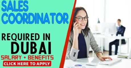 Sales Coordinator - Female Required in Dubai