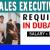 Sales Executive Required in Dubai