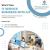 START YOUR OWN IT COMPANY IN DUBAI
