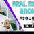 Real Estate Broker Required in Dubai