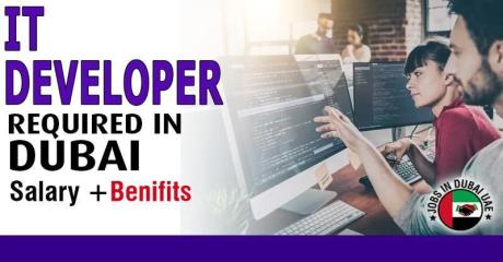 Information Technology Developer Required in Dubai
