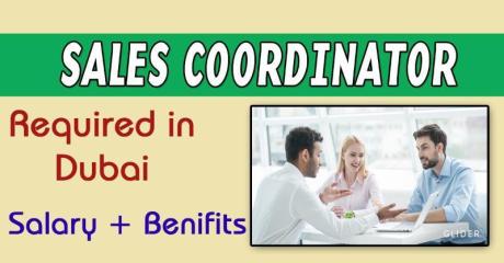 Sales Coordinator Required in Dubai