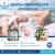Complete Birth Certificate Apostille Online Services in UAE\