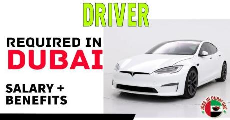 Driver Required in Dubai