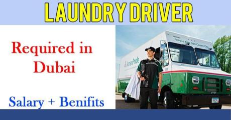 laundry Driver Required in Dubai