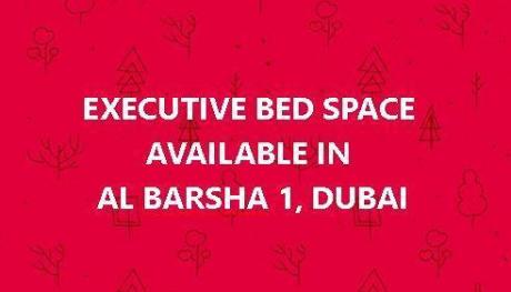 EXECUTIVE BED SPACE AVAILABLE IN AL BARSHA 1