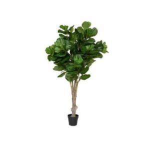 Buy Plants & Pots For Your Garden Online - Grassitup