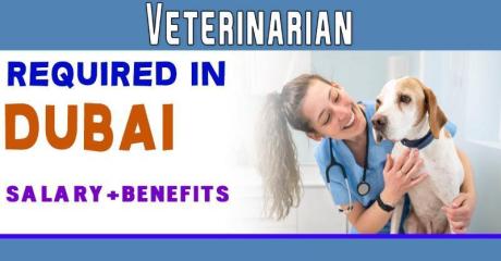 Veterinarian Required in Dubai