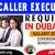 TELECALLER EXECUTIVE REQUIRED IN DUBAI