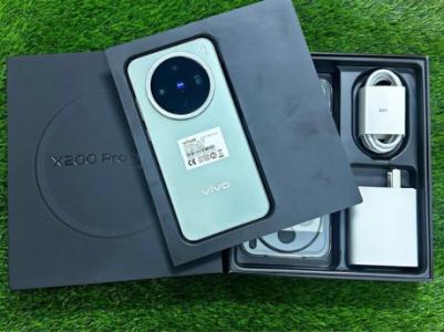 Vivo x200 pro mini