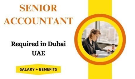 Senior Accountant Required in Dubai