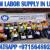 Daily Basic labor supply in Ajman Dubai Sharjah Abudhabi