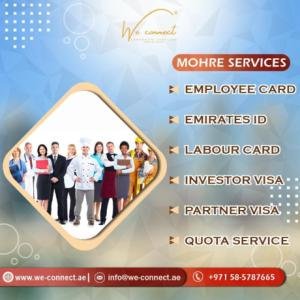 P.R.O Services Business setup Services Visa and Immigration services