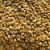 top-quality Ugandan robusta and Arabica coffee beans? Contact +27719755564