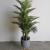 Luxury Artificial Plants Dubai