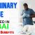 Veterinary Nurse Required in Dubai