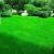 Premium Artificial Grass & Carpet Installation
