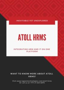 Lagoon Technologies LLC