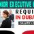 Senior Executive Human Resources Required in Dubai