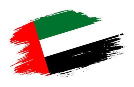 Best Movers And Packers In UAE