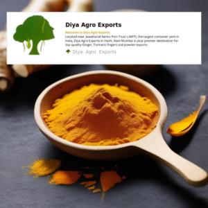 Top Turmeric Exporters in India
