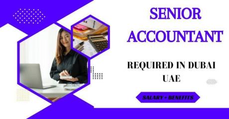 Senior Accountant Required in Dubai