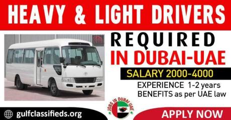 HEAVY & LIGHT DRIVERS REQUIRED IN DUBAI