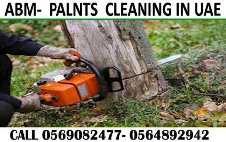 Garden cleaning & Maintenance Contractor