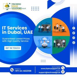 Highly Efficient Provider Of IT Services in Dubai?