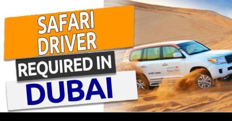 Safari Driver Required in Dubai