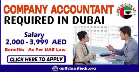 COMPANY ACCOUNTANT REQUIRED IN DUBAI