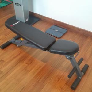 Buy Dubai made Gym Bench