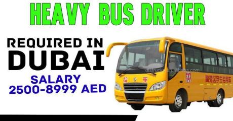 HEAVY BUS DRIVER REQUIRED IN DUBAI