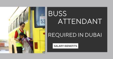 Buss Attendant Required in Dubai