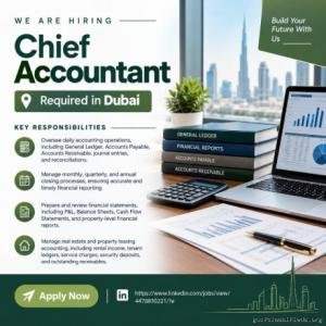 Chief Accountant Required in Dubai